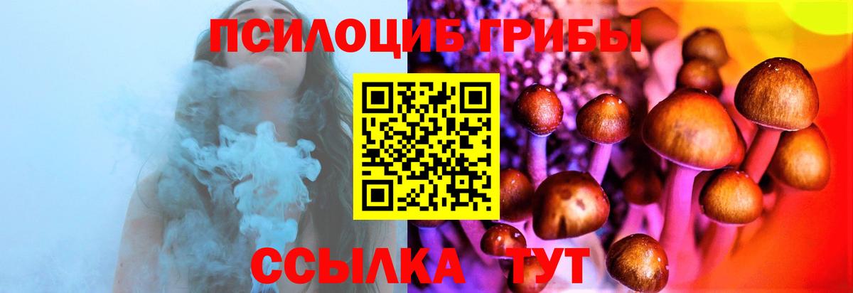 закладки  Вход с VPN  Великие Луки  Псилоцибиновые грибы мухоморы 